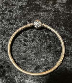 Pandora Bracelet New